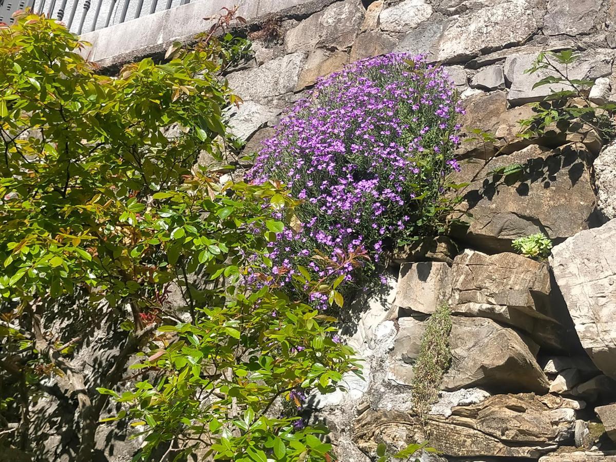 Torre Del Grifone Nel Medioevo Di Cividale Del Friuli Villa Faedis Ngoại thất bức ảnh